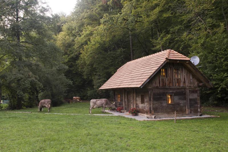 Domacija Seruga Countryside Hotel Νόβο Μέστο Εξωτερικό φωτογραφία
