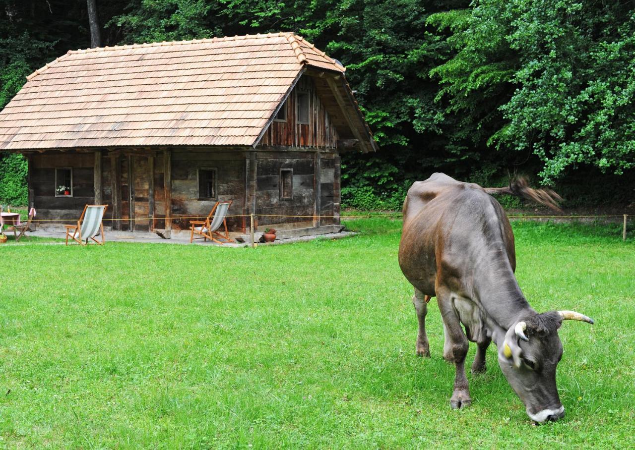 Domacija Seruga Countryside Hotel Νόβο Μέστο Εξωτερικό φωτογραφία